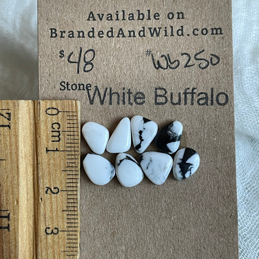 White Buffalo Cabochon - WB250
