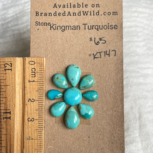 Kingman Turquoise Cabochon - KT147 E67846F6-7BF3-4010-BDE5-40A4478FE320 Brandedandwild.com
