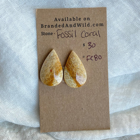 Fossil Coral Cabochon - FC80