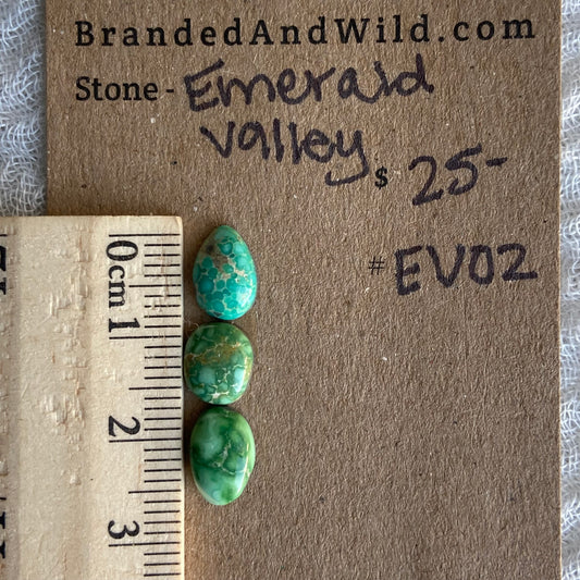 Emerald Valley Turquoise Cabochon - EV02