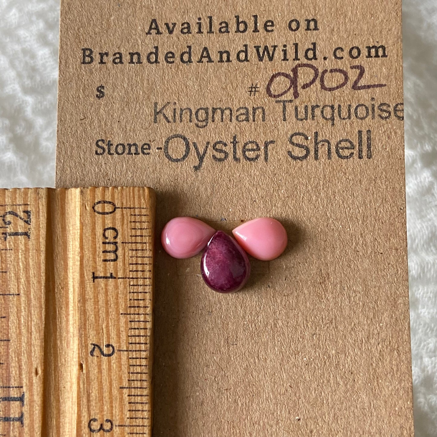 Pink Conch / Oyster Shell Cabochon - OP02