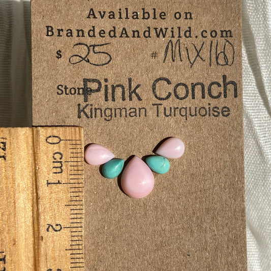 Pink Conch / Kingman Turquoise Cabochon - MIX202 E6BDB28C-A199-4DFA-B8B1-B1D1799ADC79 Brandedandwild.com