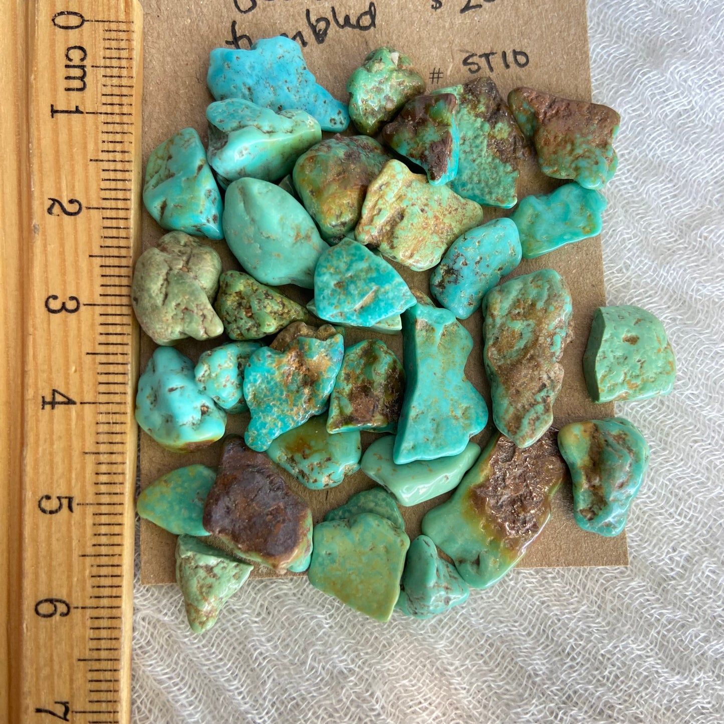 Rough Tumbled Sonoran Gold Turquoise - #ST10