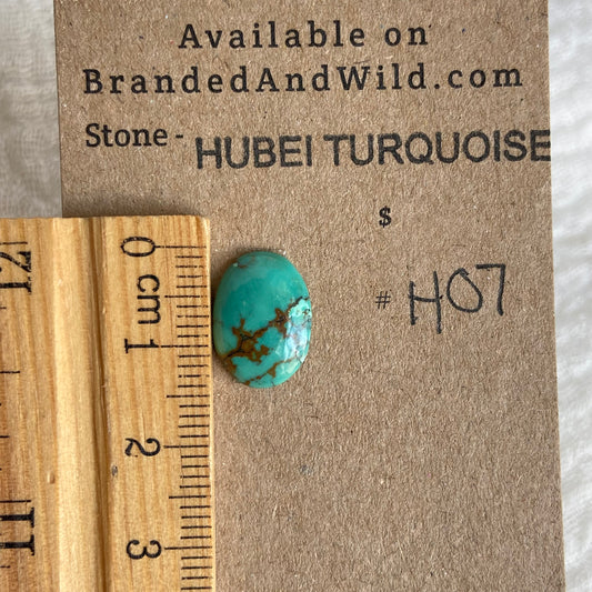 Hubei Turquoise Cabochon - H07