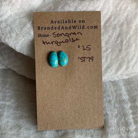 Sonoran Turquoise Cabochon - ST79