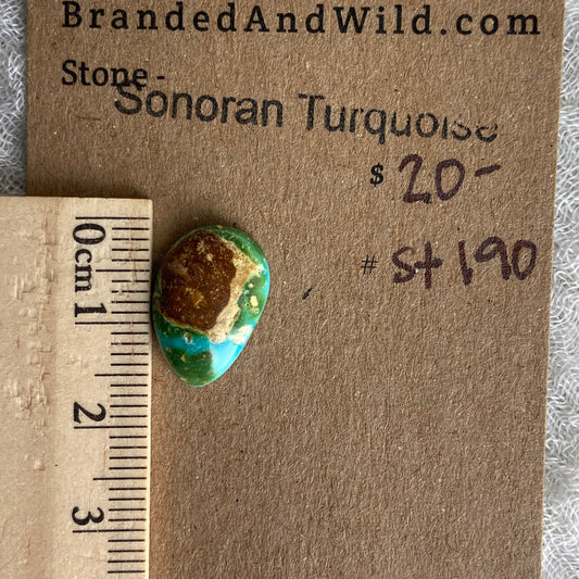 Sonoran Turquoise Cabochon - ST190
