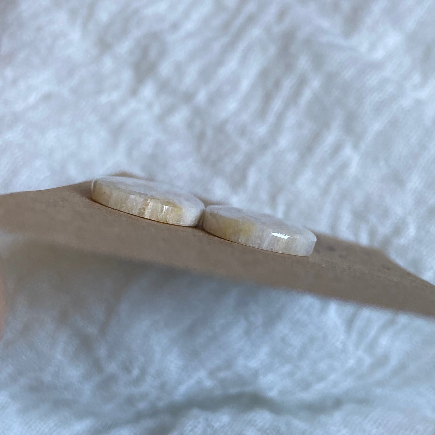 Fossil Coral Cabochon - FC35