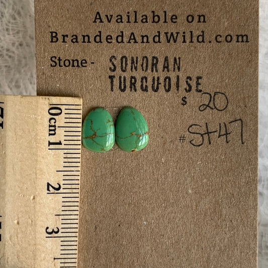 Sonoran Turquoise Cabochon - ST47