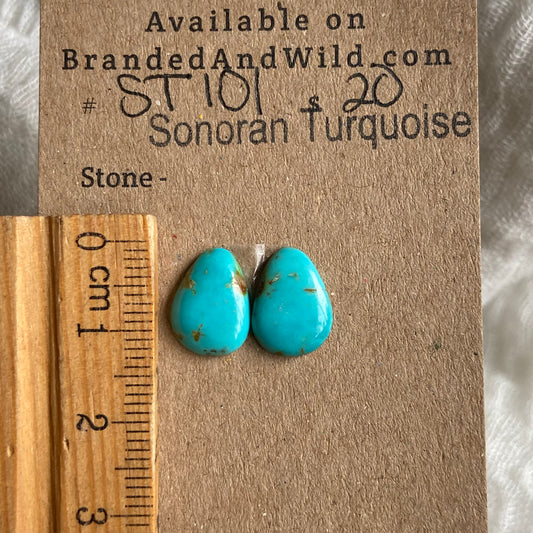 Sonoran Turquoise Cabochon - ST101 E7C2DEAC-0058-4C02-8CCB-D289CA8E7DEC Brandedandwild.com