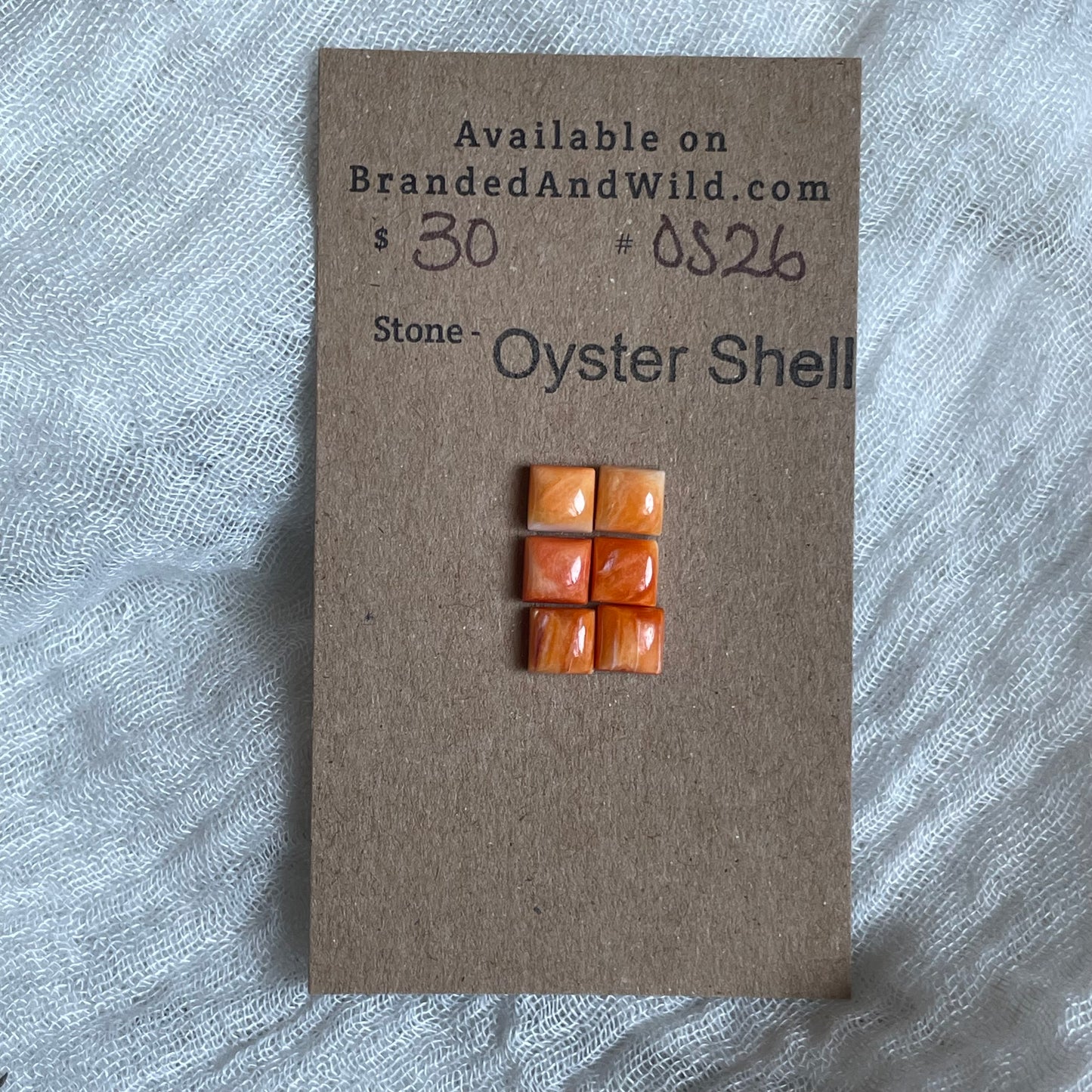 Oyster Shell Cabochon - OS26