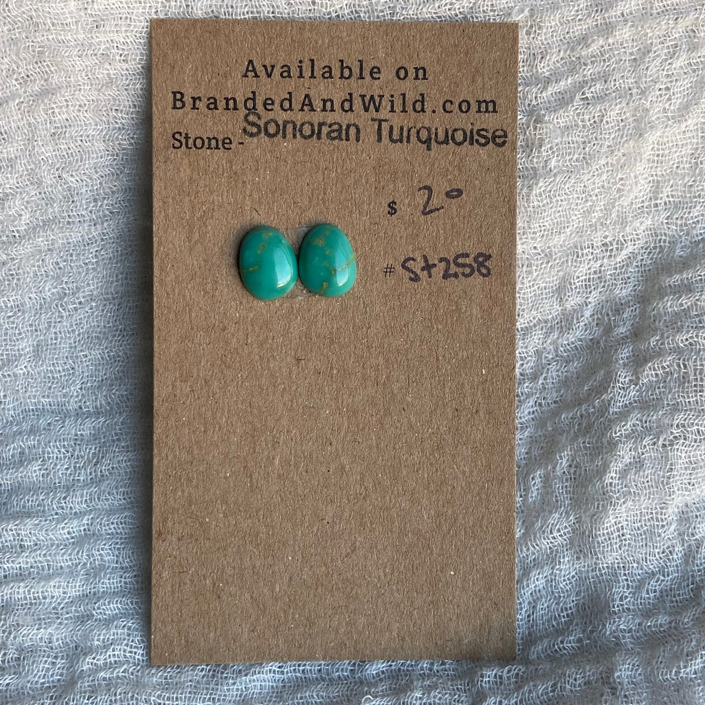 Sonoran Turquoise Cabochon - ST258