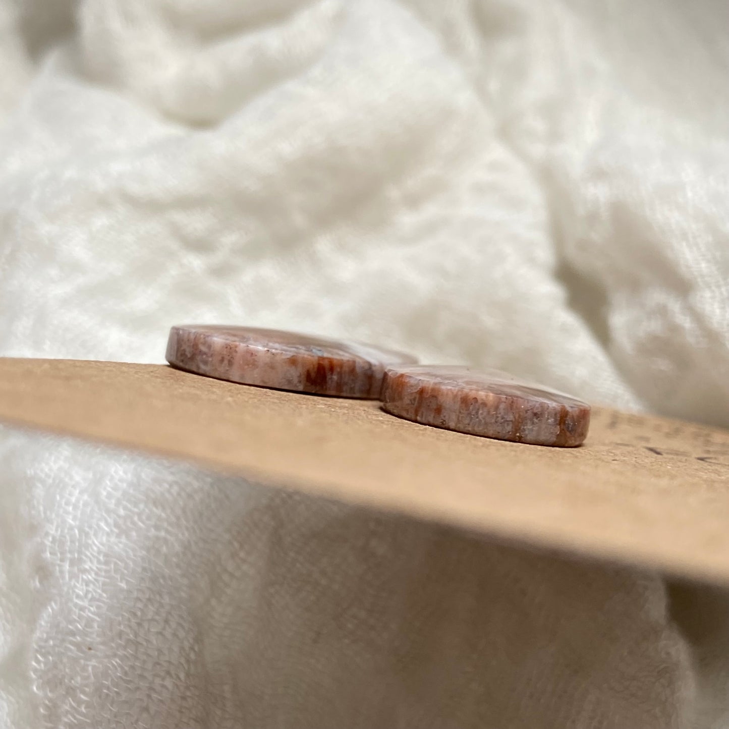 Fossil Coral Cabochon - FC134