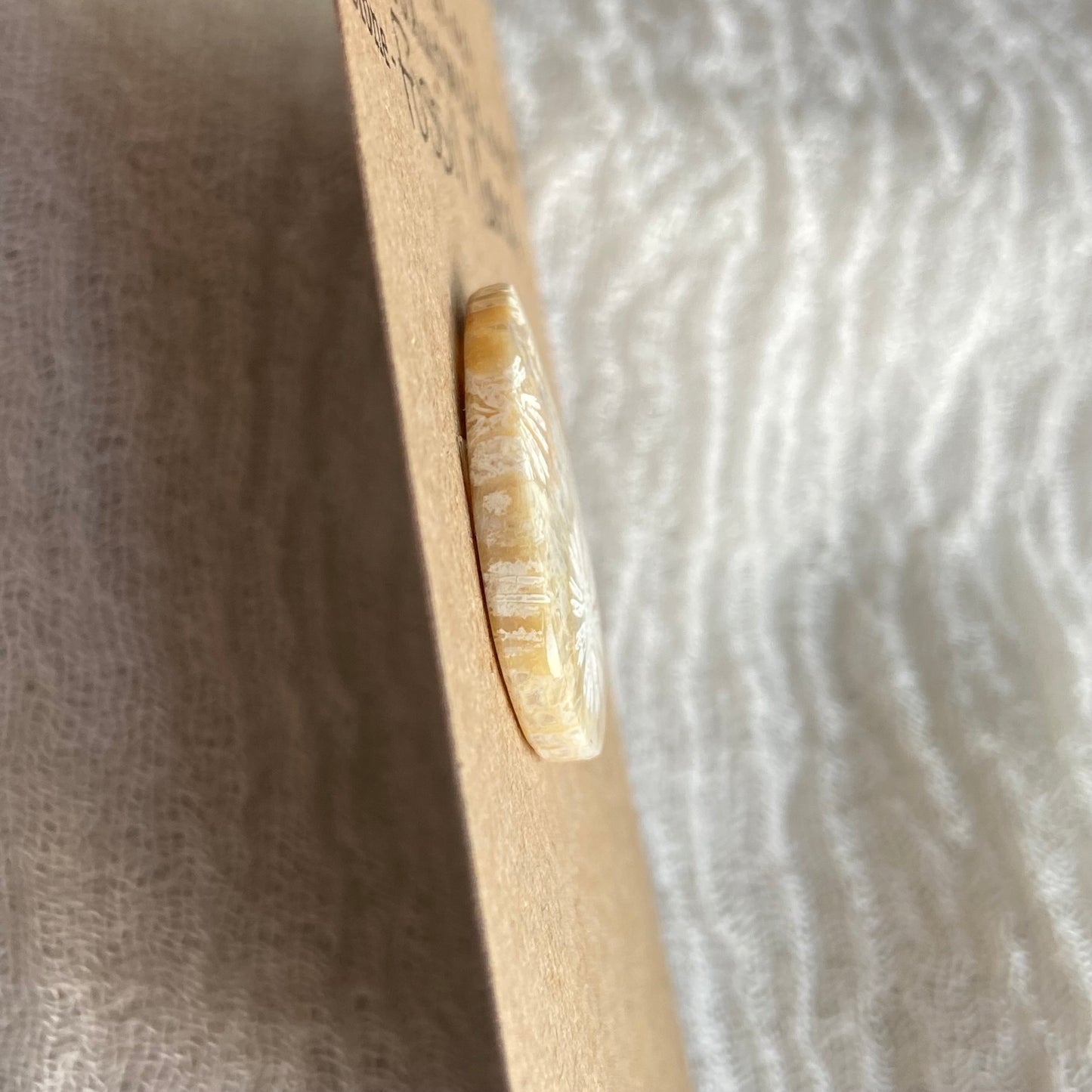 Fossil Coral Cabochon - FC56