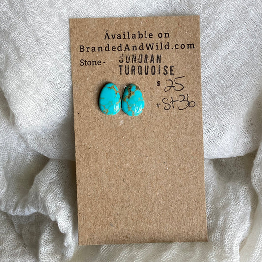 Sonoran Turquoise Cabochon - ST36
