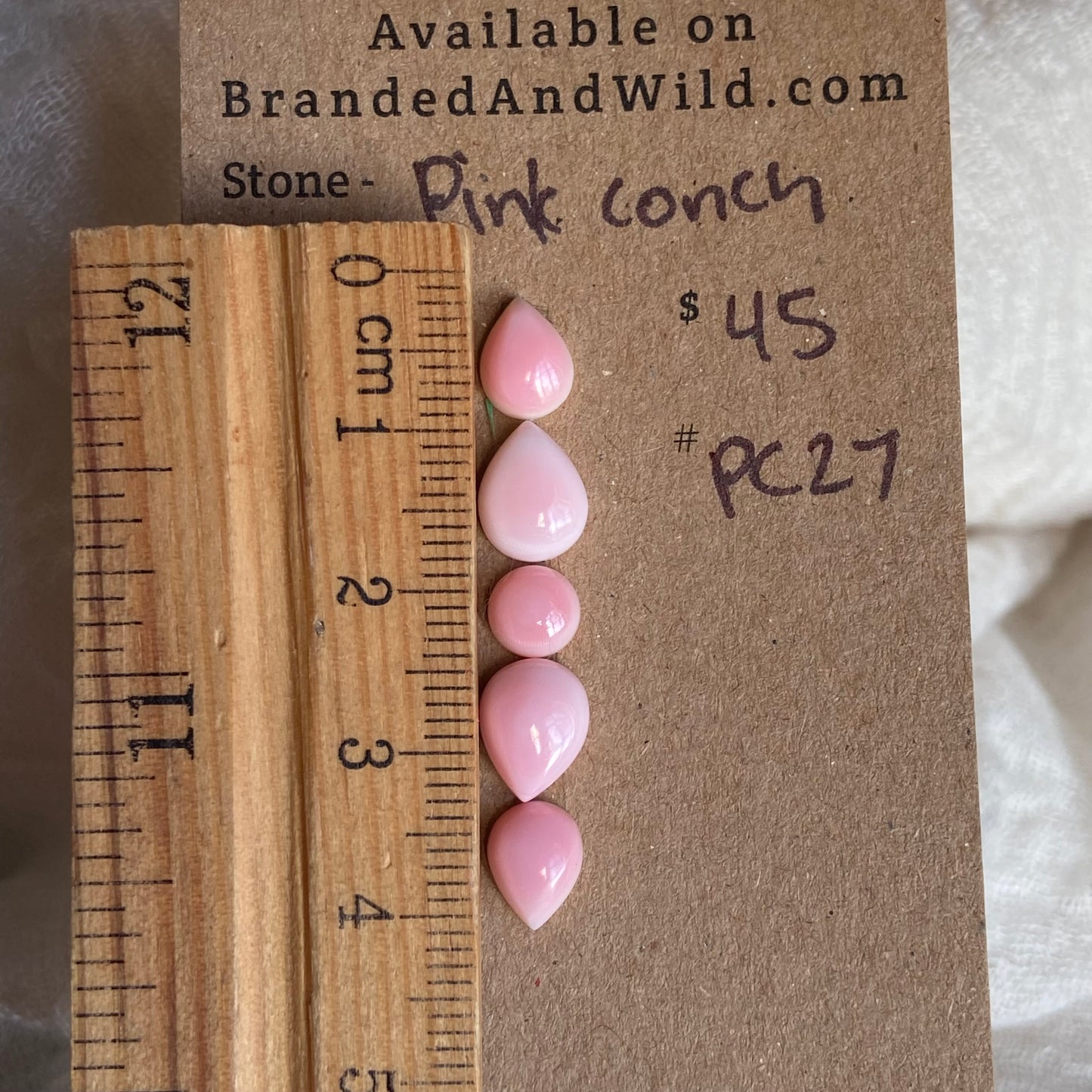 Pink Conch Cabochon - PC27