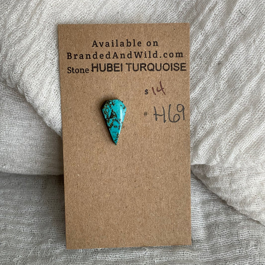 Hubei Turquoise Cabochon - H69