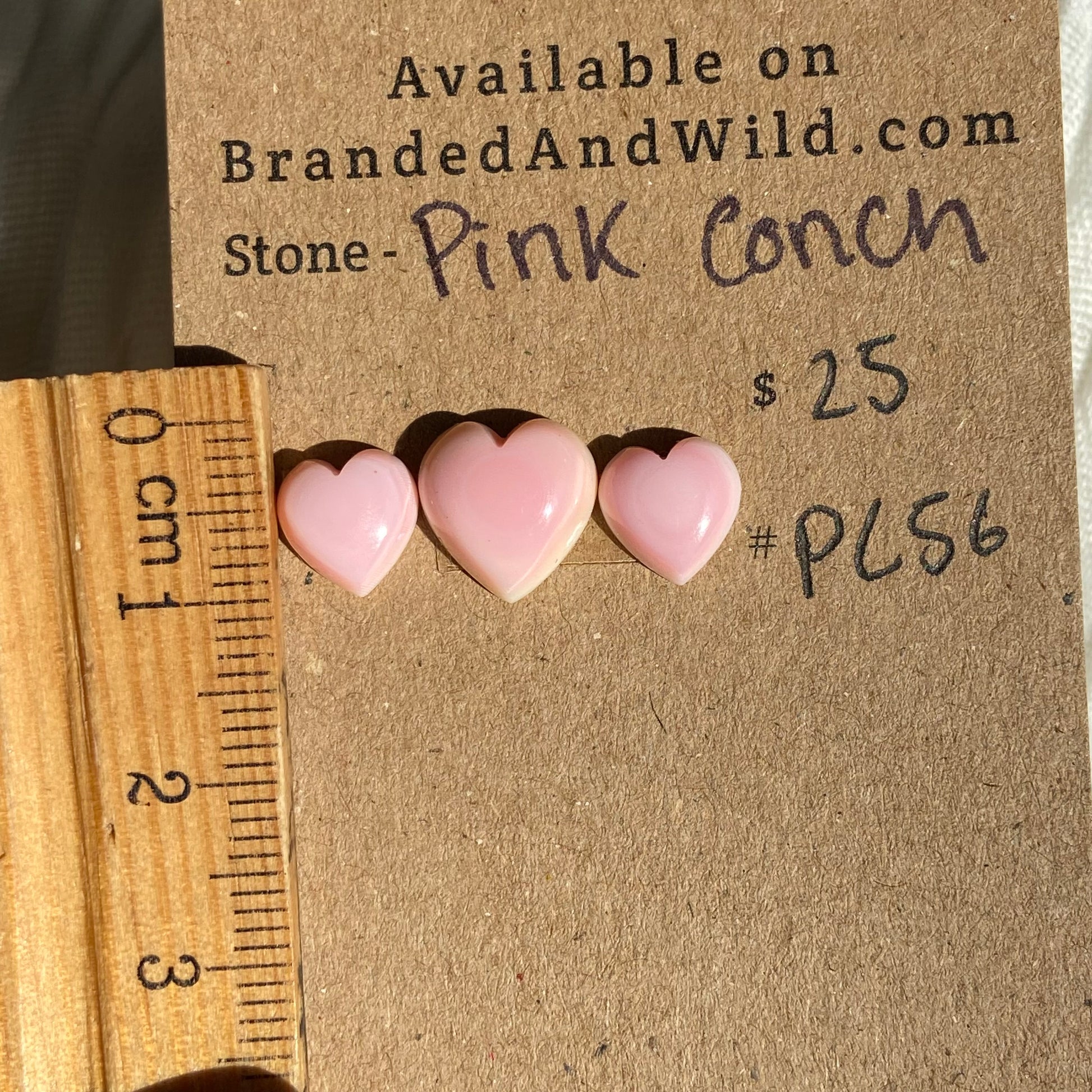 Pink Conch Cabochon - PC56 E8C6FF97-B351-4D92-B068-7FCDF84DBBC2 Brandedandwild.com