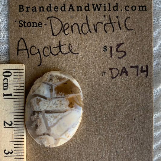 Dendritic Agate Cabochon - DA74