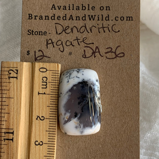 Dendritic Agate Cabochon - DA36