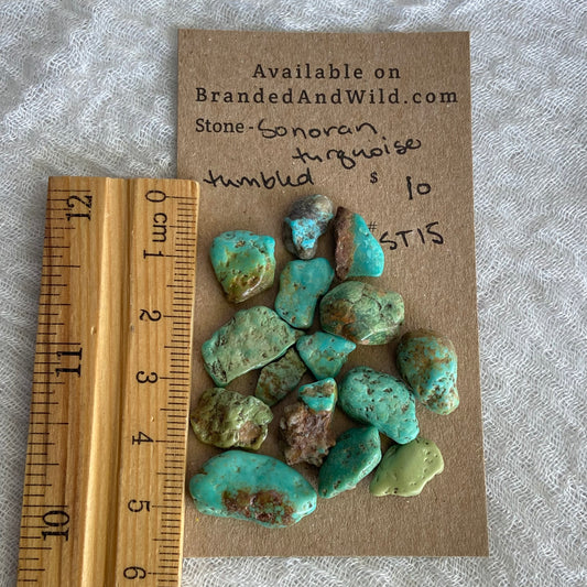 Rough Tumbled Sonoran Gold Turquoise - #ST15