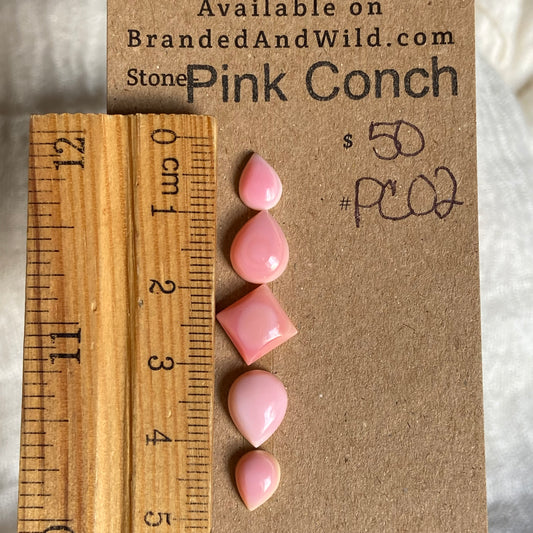 Pink Conch Cabochon - PC02