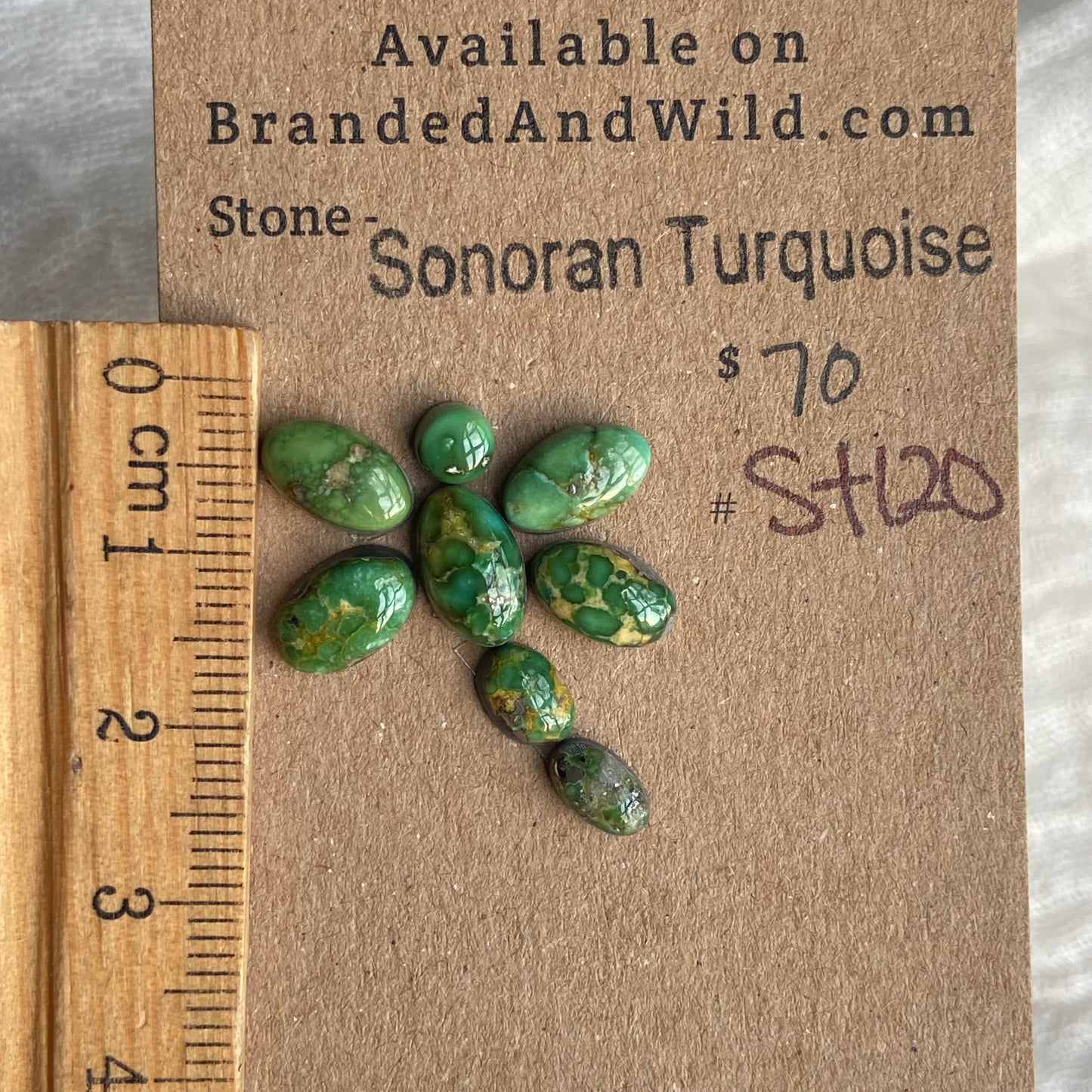 Sonoran Turquoise Cabochon - ST120