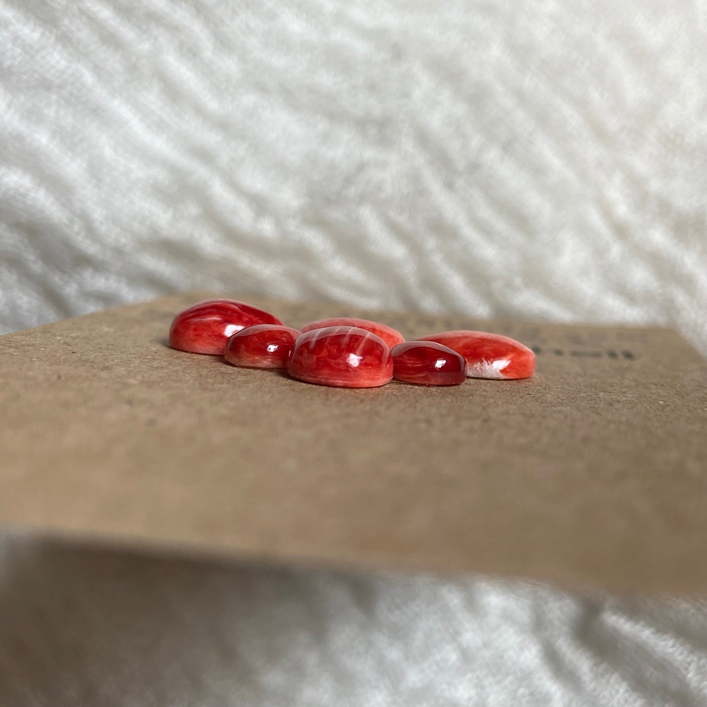 Oyster Shell Cabochon - OS87