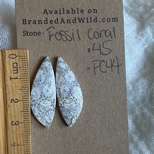 Fossil Coral Cabochon - FC44 E9D3F7BC-C146-46FB-938B-38A19F90C71B Brandedandwild.com