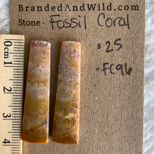 Fossil Coral Cabochon - FC96