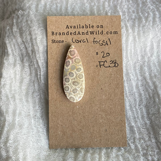 Fossil Coral Cabochon - FC38