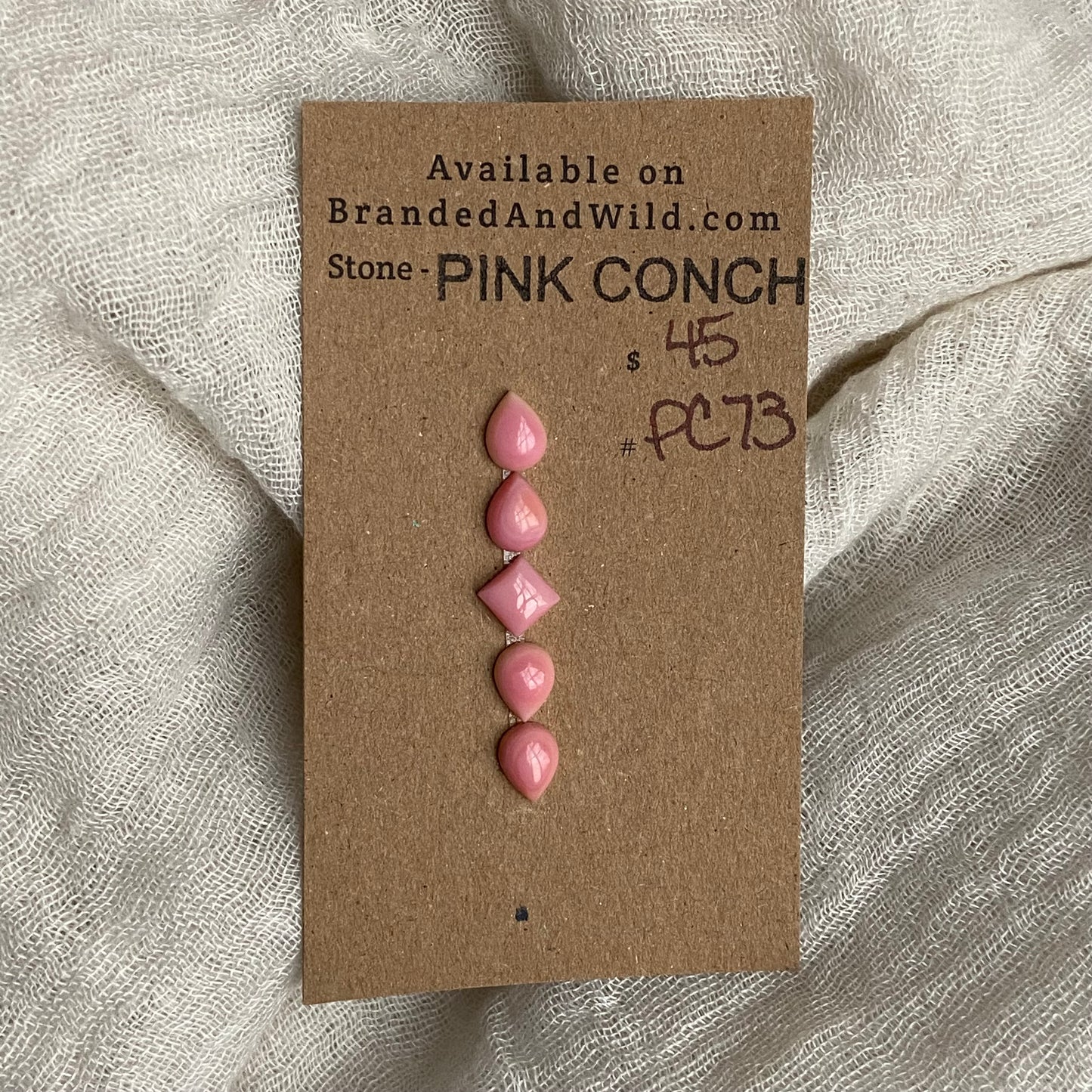 Pink Conch Cabochon - PC73