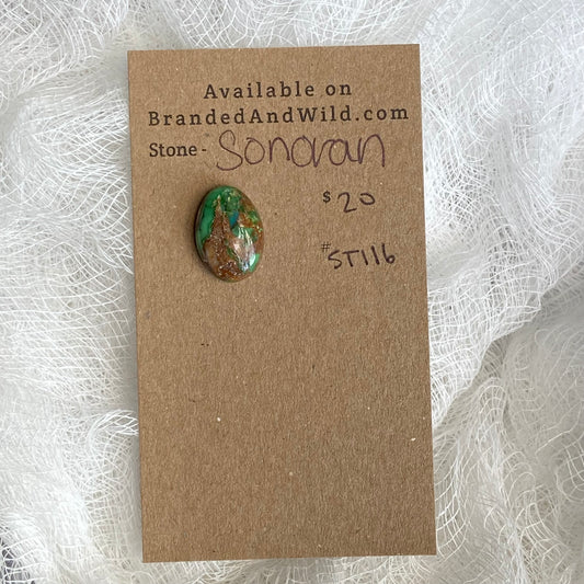 Sonoran Turquoise Cabochon - ST116