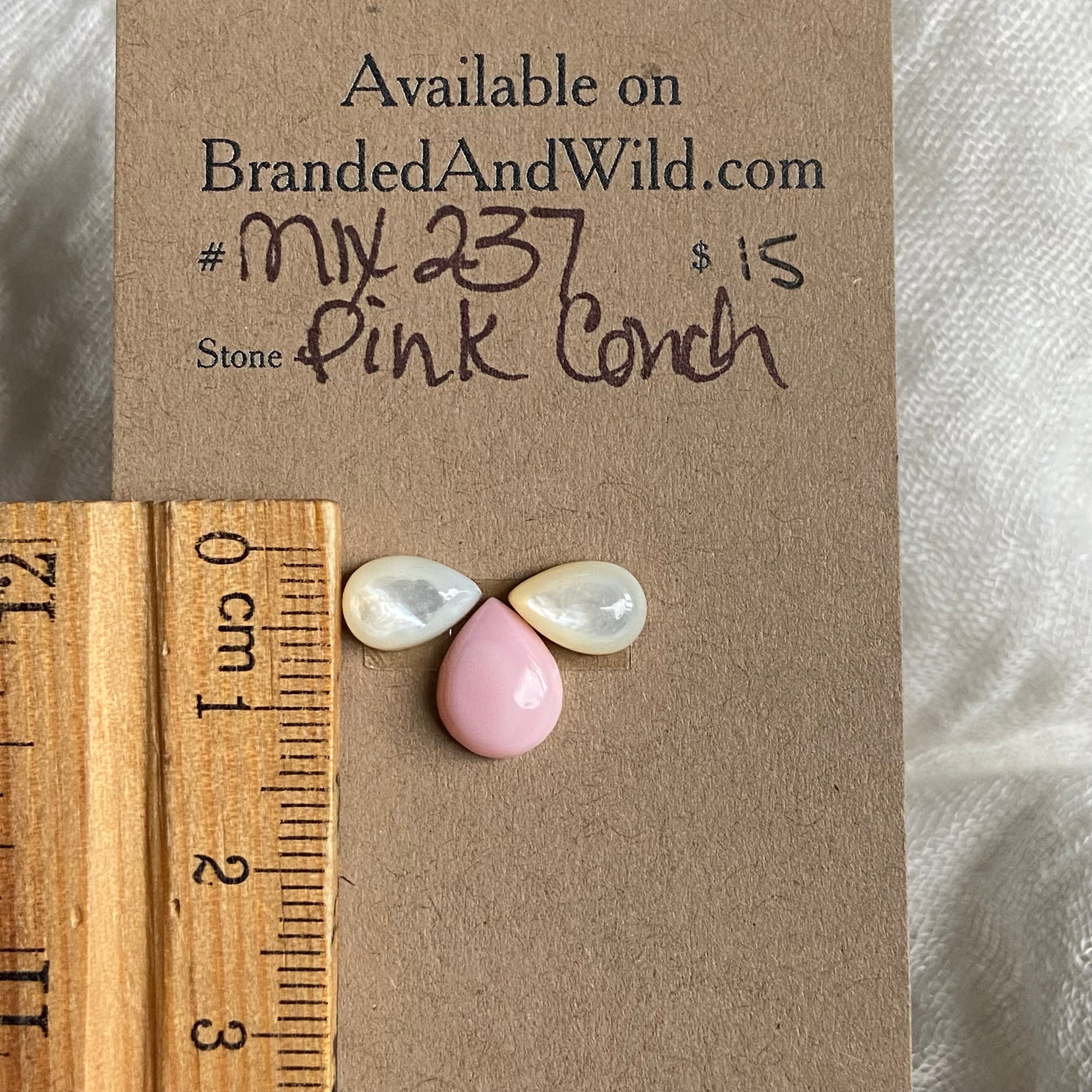 Pink Conch Mix Cabochon - MIX237 EA428F6F-506D-4EB2-81D8-70C0D8E1603B Brandedandwild.com