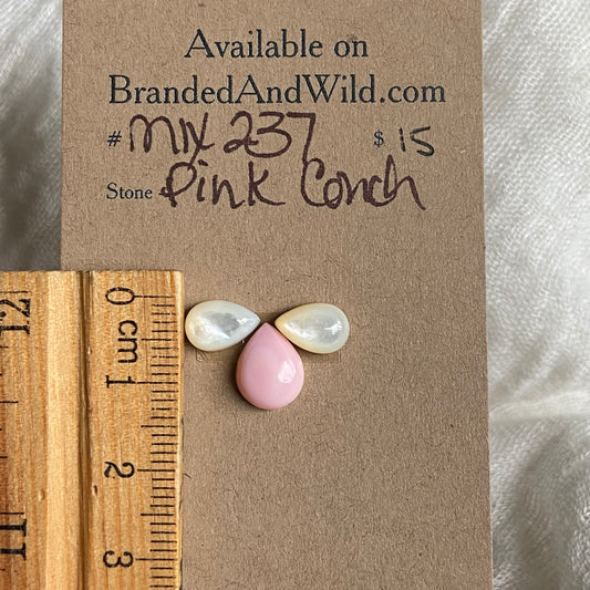 Pink Conch Mix Cabochon - MIX237 EA428F6F-506D-4EB2-81D8-70C0D8E1603B Brandedandwild.com