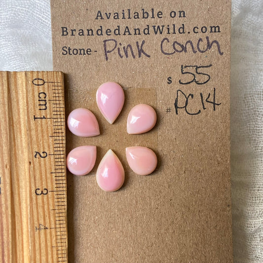 Pink Conch Cabochon - PC14 EA4B64F7-7E58-4BA8-B993-ED7FE97DD8BA Brandedandwild.com