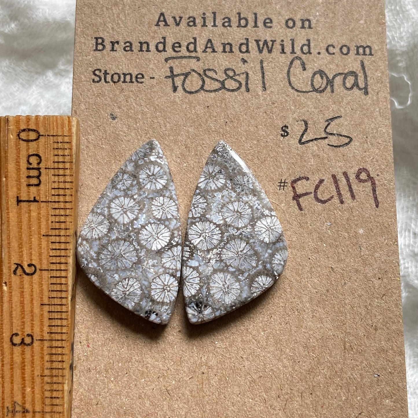 Fossil Coral Cabochon - FC119