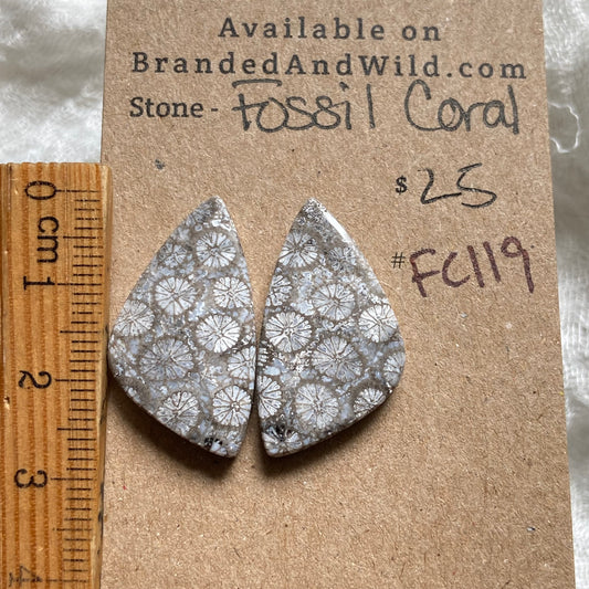 Fossil Coral Cabochon - FC119 EA7C0493-F9FD-4B9E-9689-1C55ACB2BD6E Brandedandwild.com