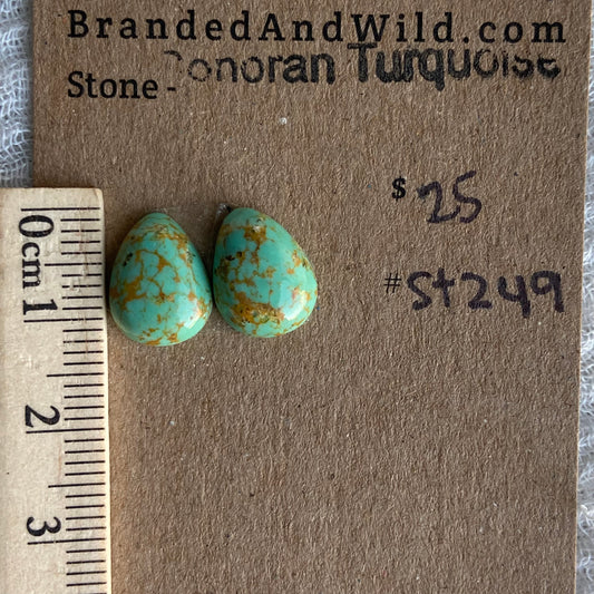 Sonoran Turquoise Cabochon - ST249