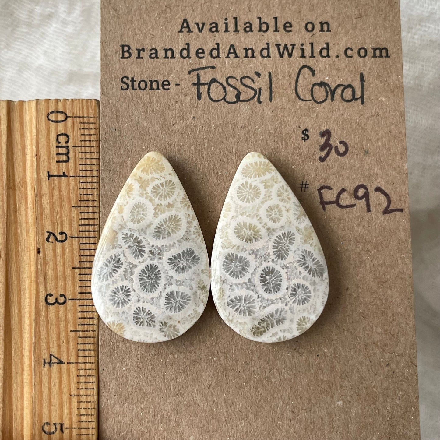 Fossil Coral Cabochon - FC92 EA9BE92C-6BA2-4DDE-AA04-A94DDA7E8B67 Brandedandwild.com
