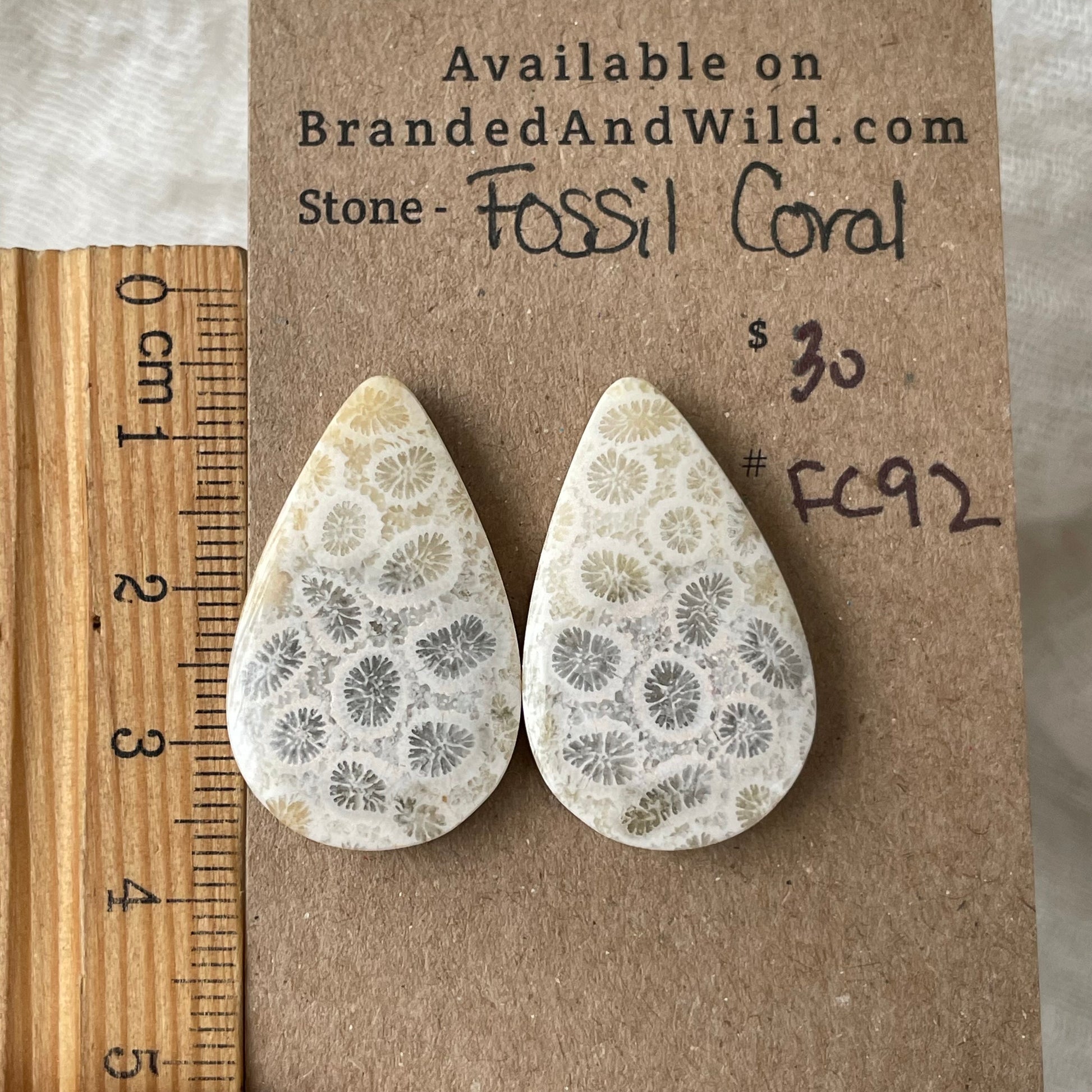 Fossil Coral Cabochon - FC92 EA9BE92C-6BA2-4DDE-AA04-A94DDA7E8B67 Brandedandwild.com