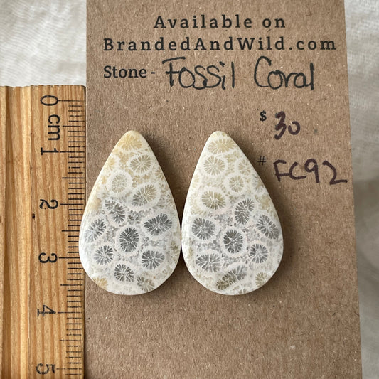 Fossil Coral Cabochon - FC92 EA9BE92C-6BA2-4DDE-AA04-A94DDA7E8B67 Brandedandwild.com