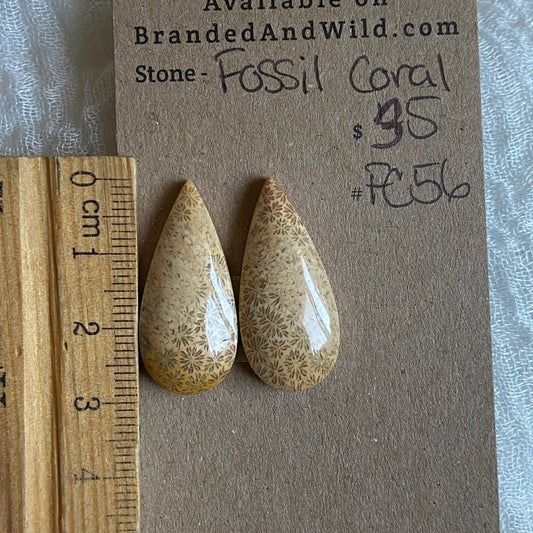 Fossil Coral Cabochon - FC56 EAB1BB55-2C0E-4836-9678-00001F5BB26B Brandedandwild.com