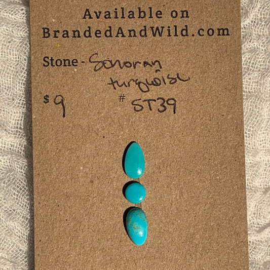 Sonoran Turquoise Cabochon - ST39