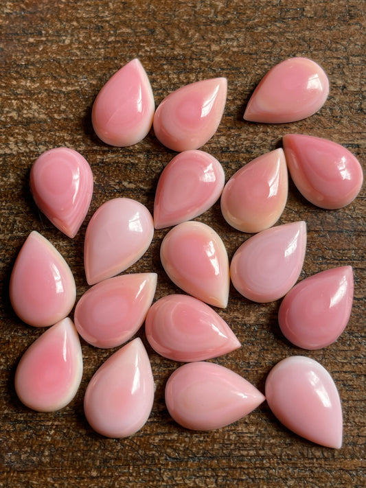 Pink Conch 8x12 mm EB0448F6-4E30-4CC0-8FDE-662281F36BFD Brandedandwild.com