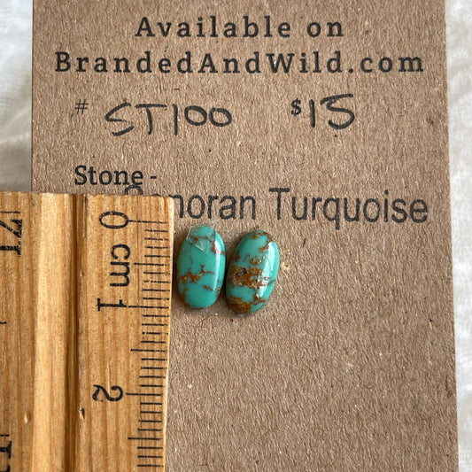 Sonoran Turquoise Cabochon - ST100 EB060B0E-21FD-49A5-A005-0FDAF174D74B Brandedandwild.com