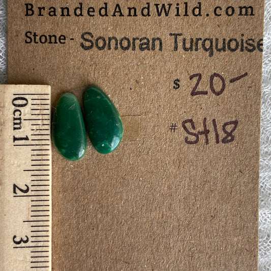 Sonoran Turquoise Cabochon - ST18