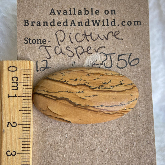 Picture Jasper Cabochon - PJ56
