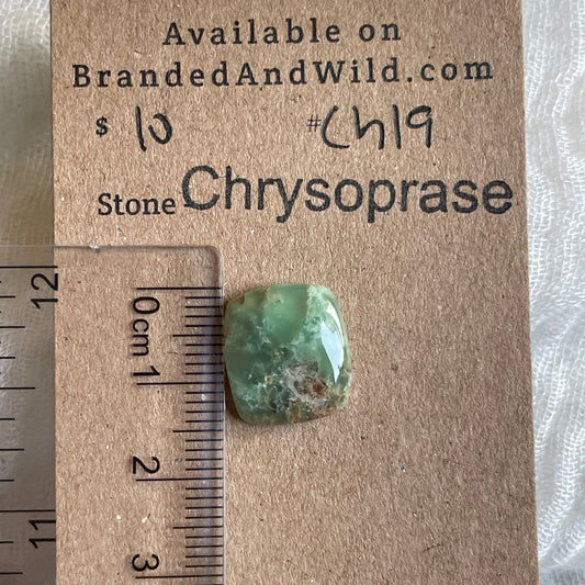 Chrysoprase Cabochon - Ch19 EB41D6B4-280A-4741-907D-082D4D5FA2EE Brandedandwild.com