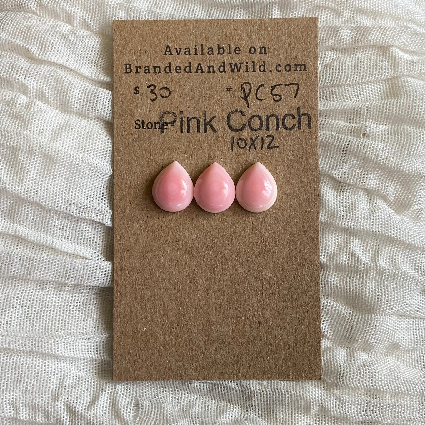 Pink Conch Cabochon - PC57
