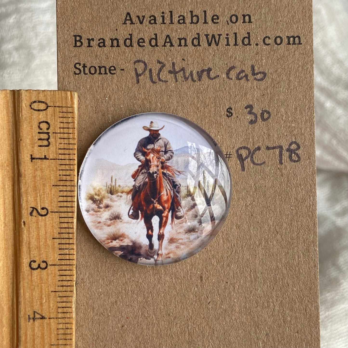 Picture Cabochon - Cabochon - PC78 EB864170-3555-4FB4-96E5-15D5267AB07E Brandedandwild.com